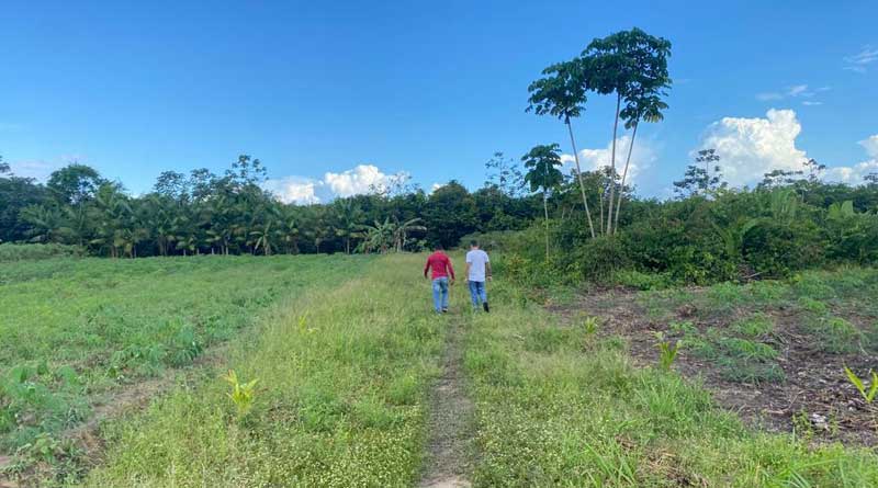 Alunos Participam de Curso de Viveirista Ofertado pela Prefeitura