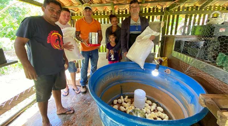 Campo cerrado e vitória do livramento recebem filhotes de galinha poedeira